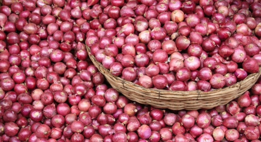 Export taxes on onions: The secretary of consumer affairs said the government is dedicated to giving customers comfort